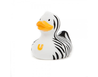 Mini Zebre de pato