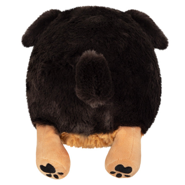 Mini Squishable Fluffy Dachshund