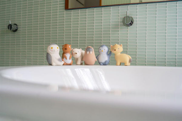 I miei primi animali artici