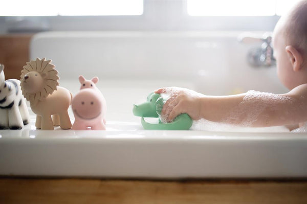Il mio primo animale dello zoo: l'ippopotamo