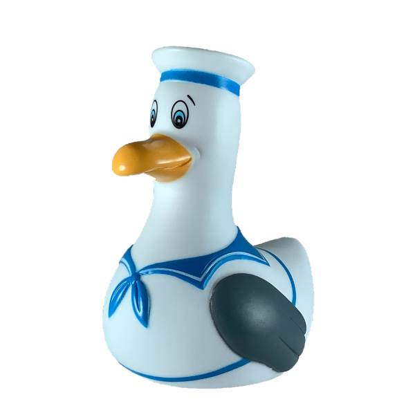 Mouette Marin