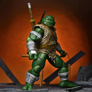 Michelangelo (The Wanderer) (Mirage Comics)