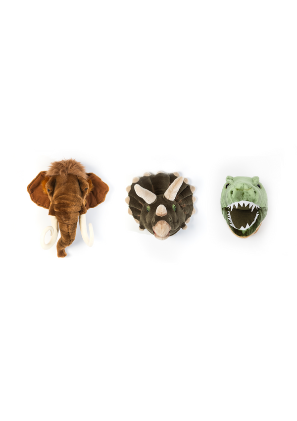 Mini têtes décoratives : Coffret Prehistoric - Wild & Soft
