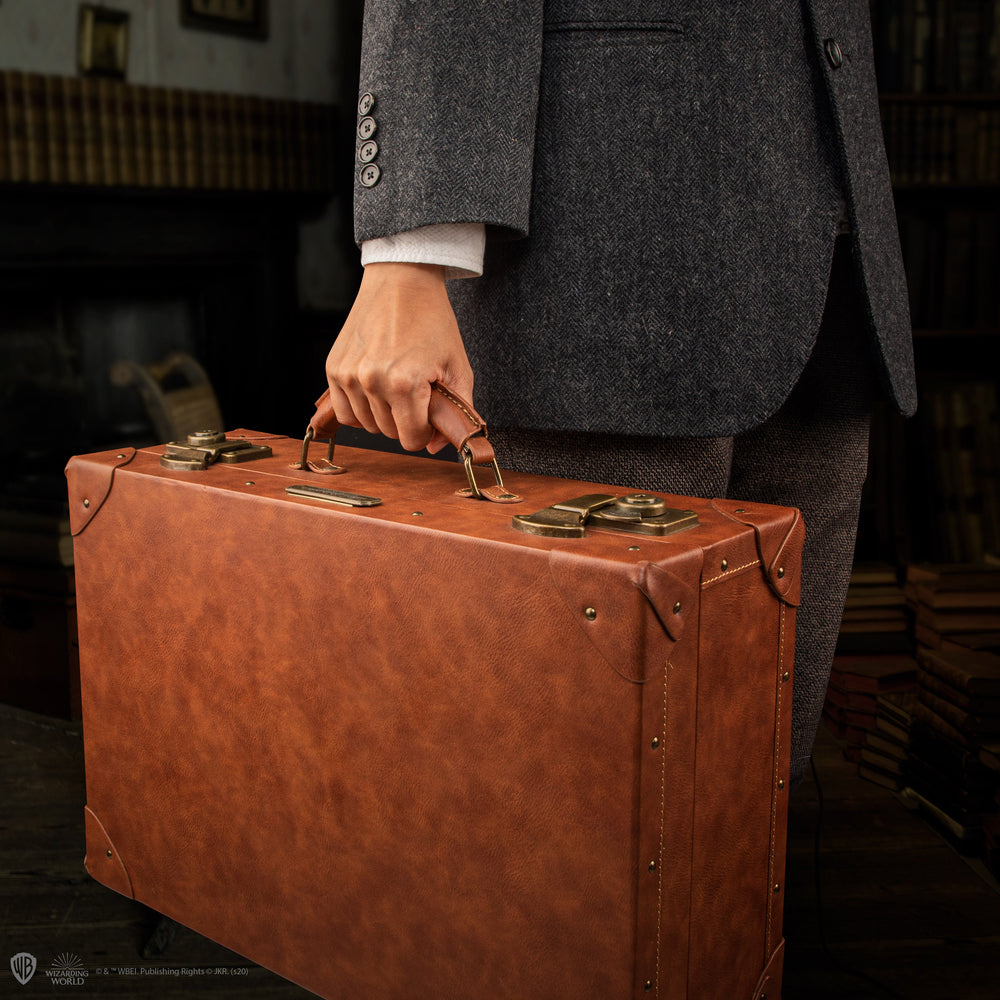 Valise Norbert Dragonneau