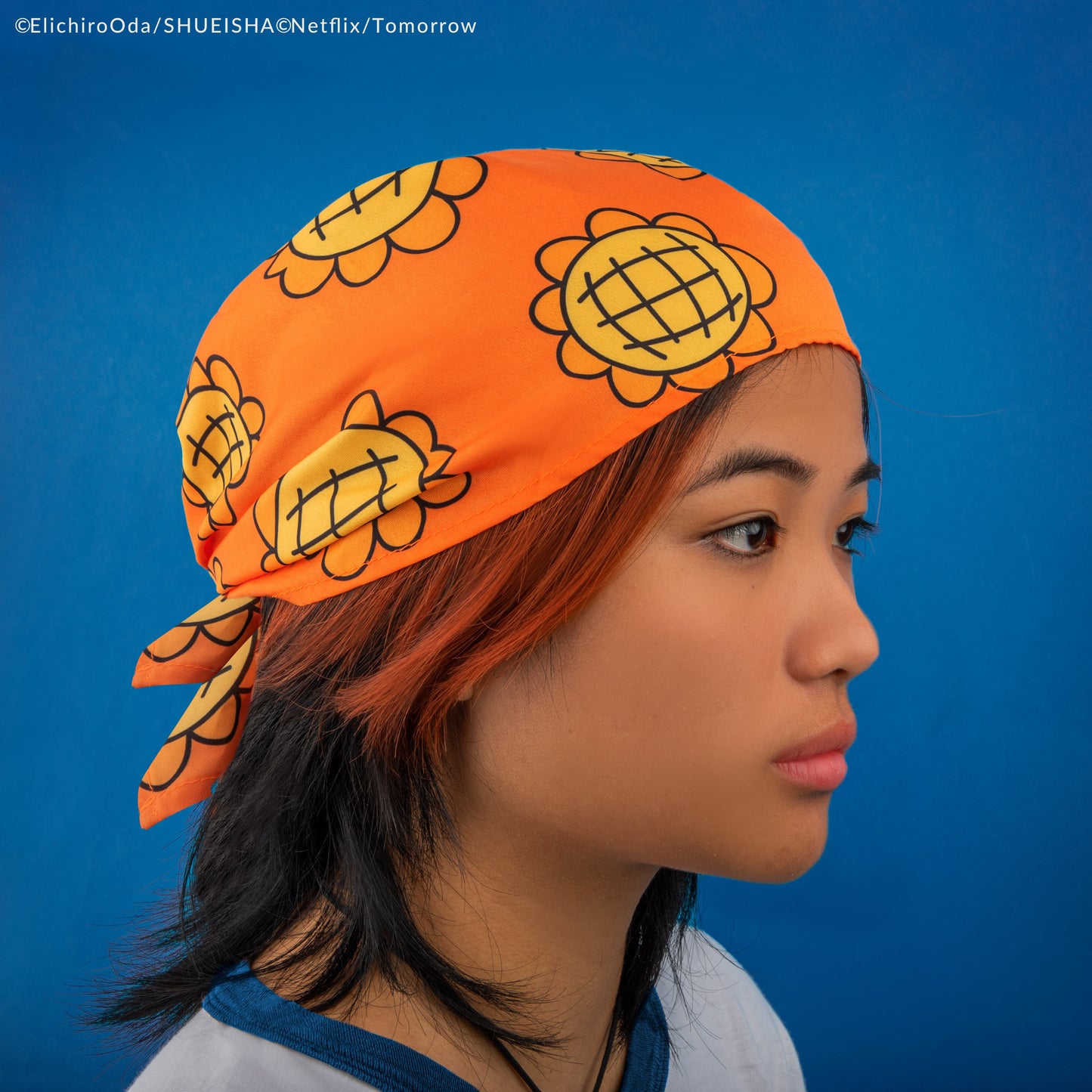 Nami's Bandana & Berry Coins Set