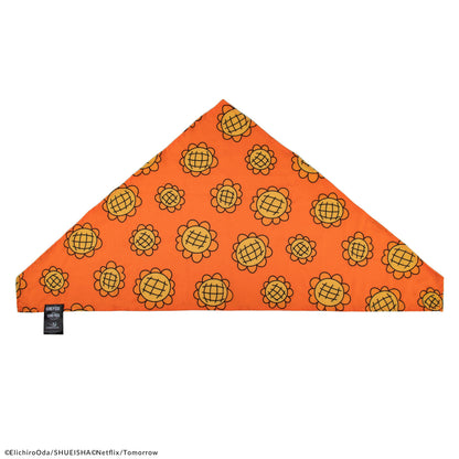 Nami's Bandana & Berry Coins Set