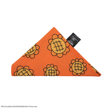 Nami's Bandana & Berry Coins Set