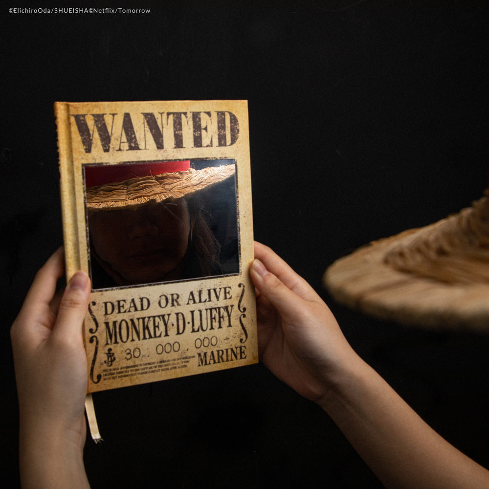Notebook Wanted Mirror