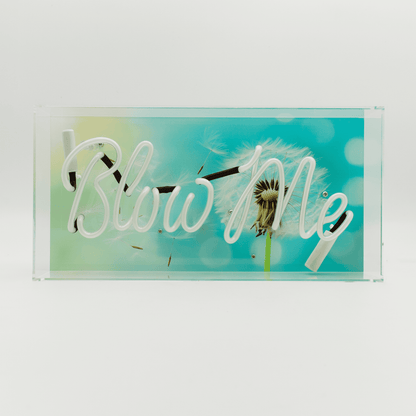 'Blow Me' Neon Box Sign