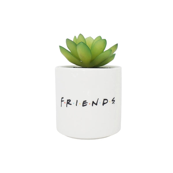 Maceta con plantas artificiales - Central Perk