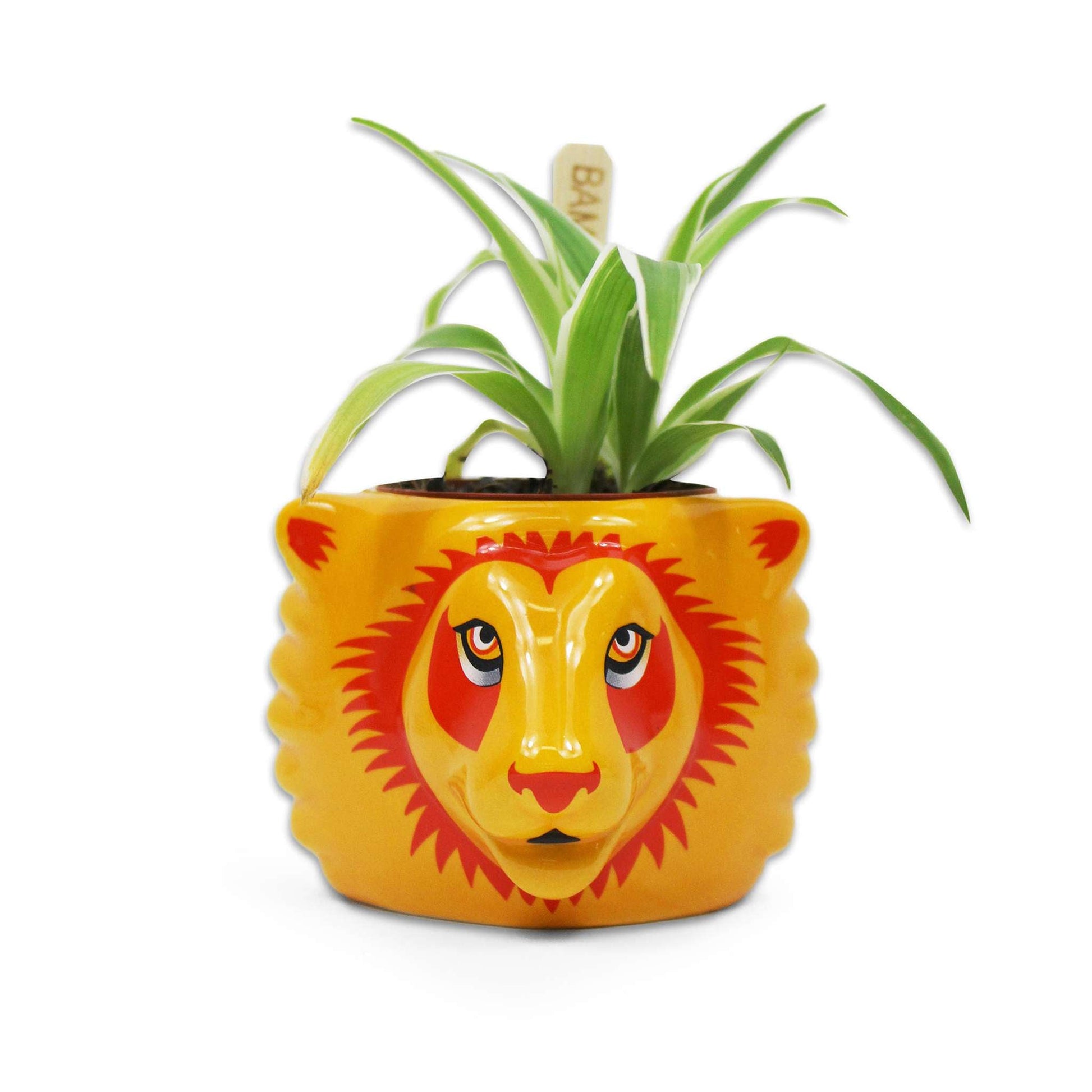 Pot de fleurs Harry Potter - Gryffondor