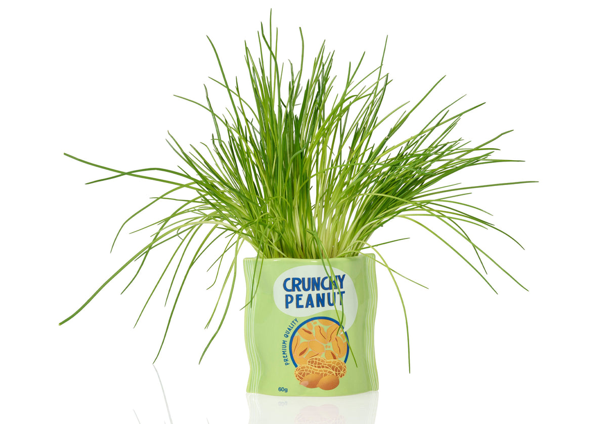 Pot de Fleur Cacahuètes en Céramique