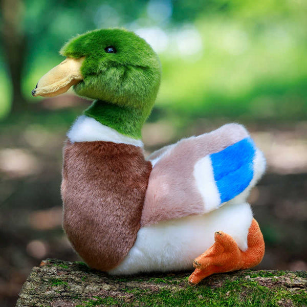 Animigos pluche eend (Mallard Duck)