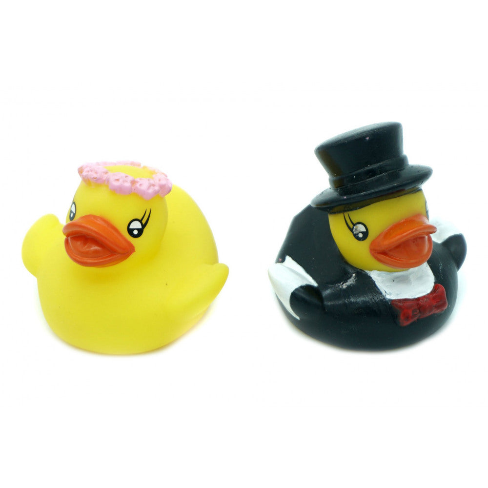 Pequeños patos casados