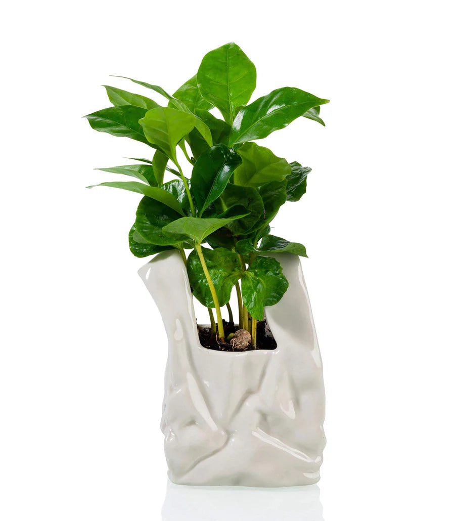 Vaso di fiori. Non sono un sacchetto di plastica!