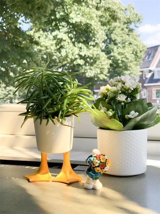 Pot de Fleur Pattes de Canards