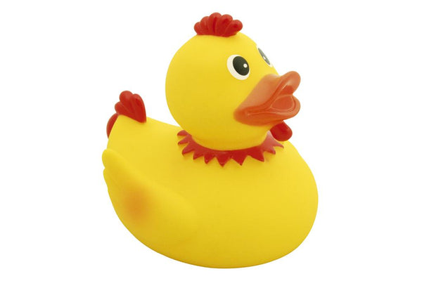 Anatra con cresta di gallo
