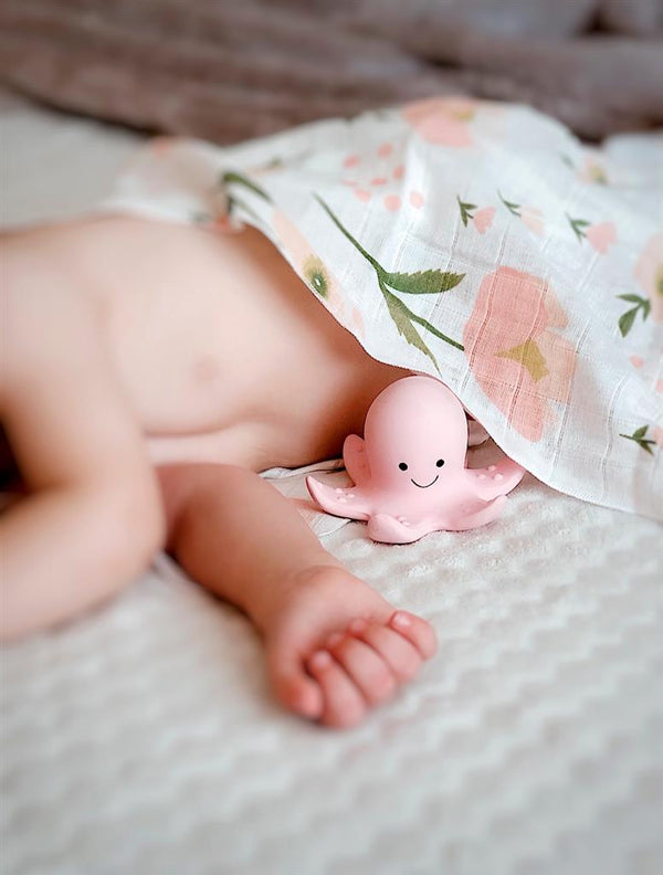 Il mio primo animale marino: il polpo