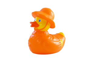 Eend Regenachtige Dag « Puddle »