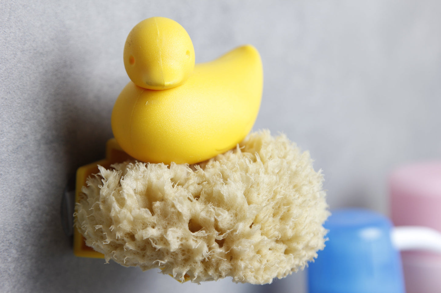 Duck sponge door