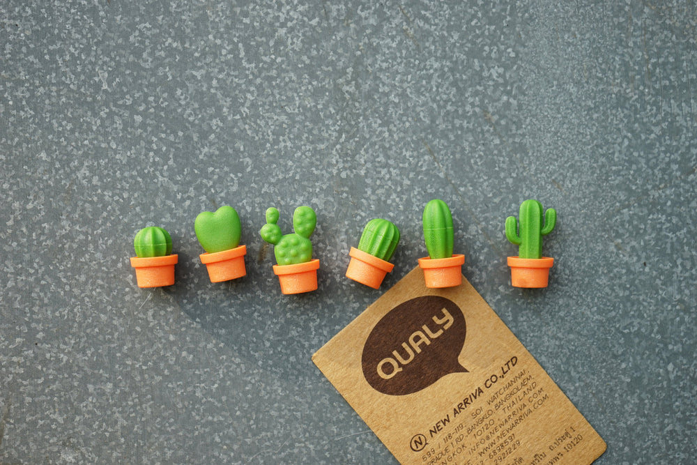 Magneti di cactus 