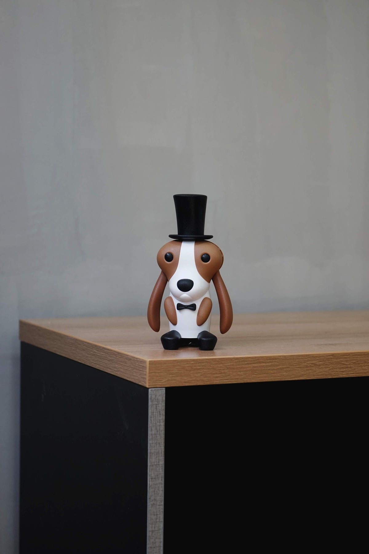 Cabellero de perro caballero