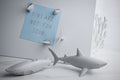Magnets Requin