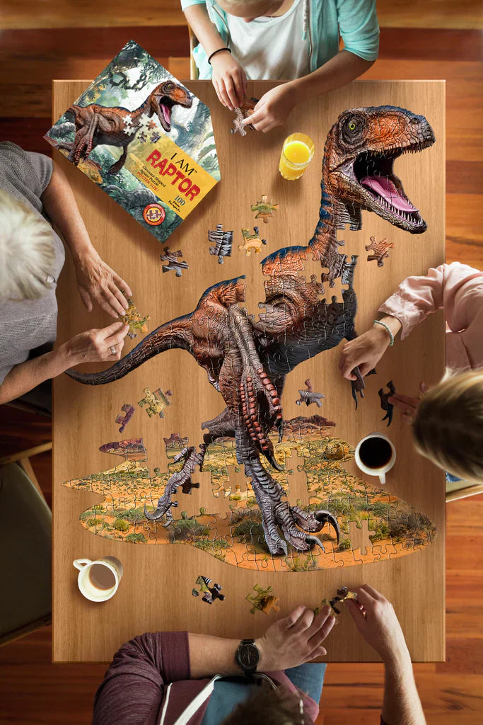 Puzzle Raptor