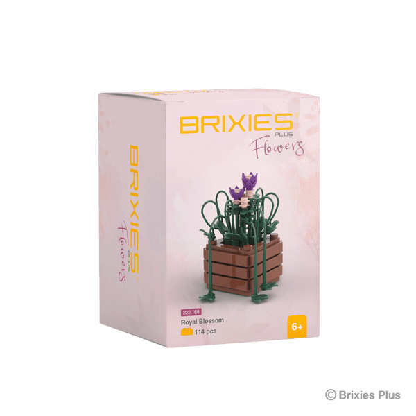 BRIXIES Plus Mini Blume "Royal Blossom"