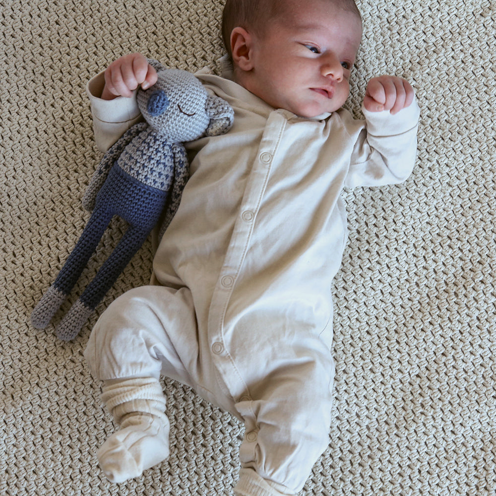Koala blue blanket