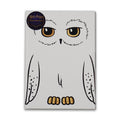 Notes adhésives A6 Harry Potter - Hedwigs
