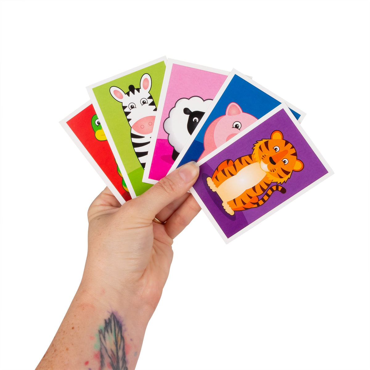 CARTES SNAP FSC