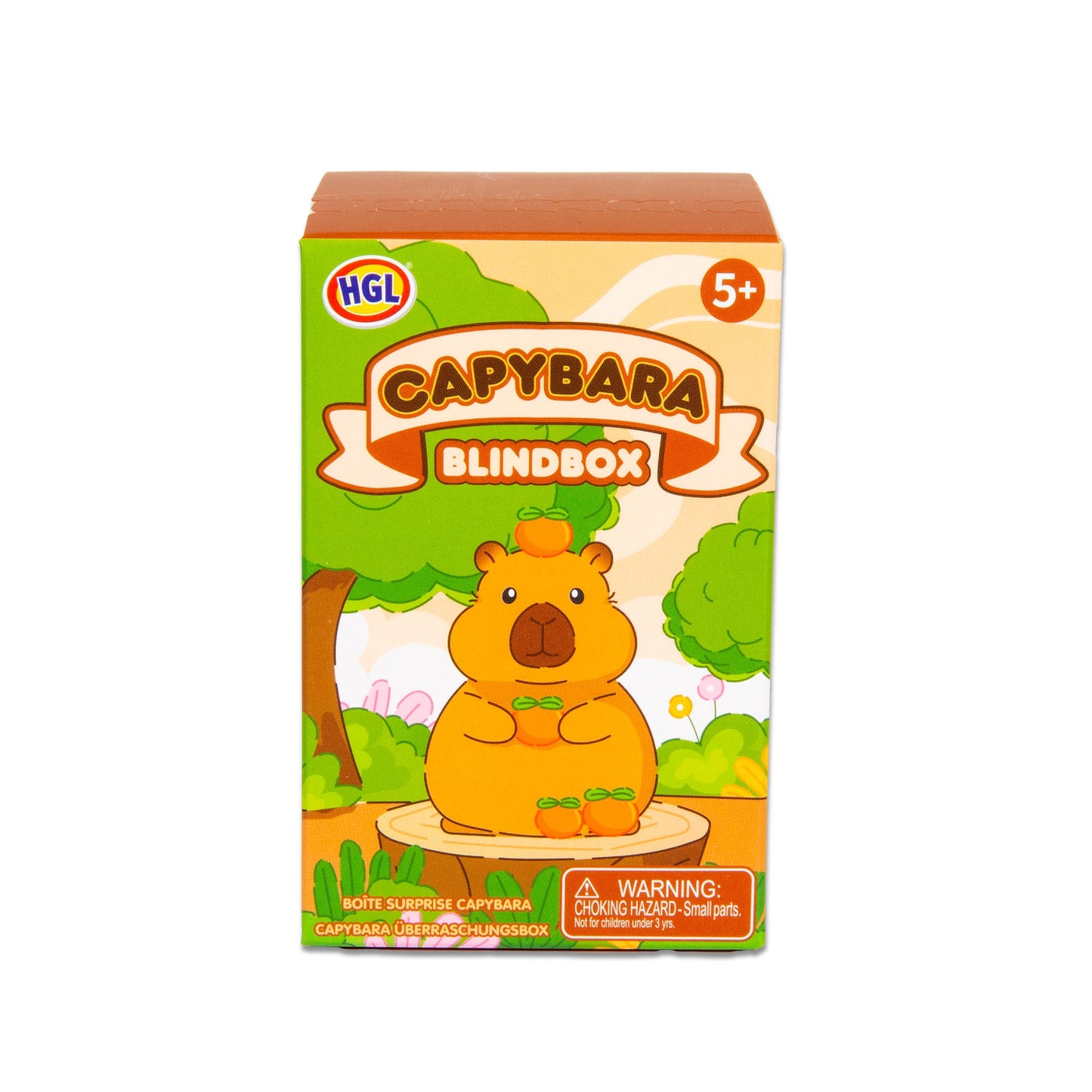 BLIND BOX CAPYBARA