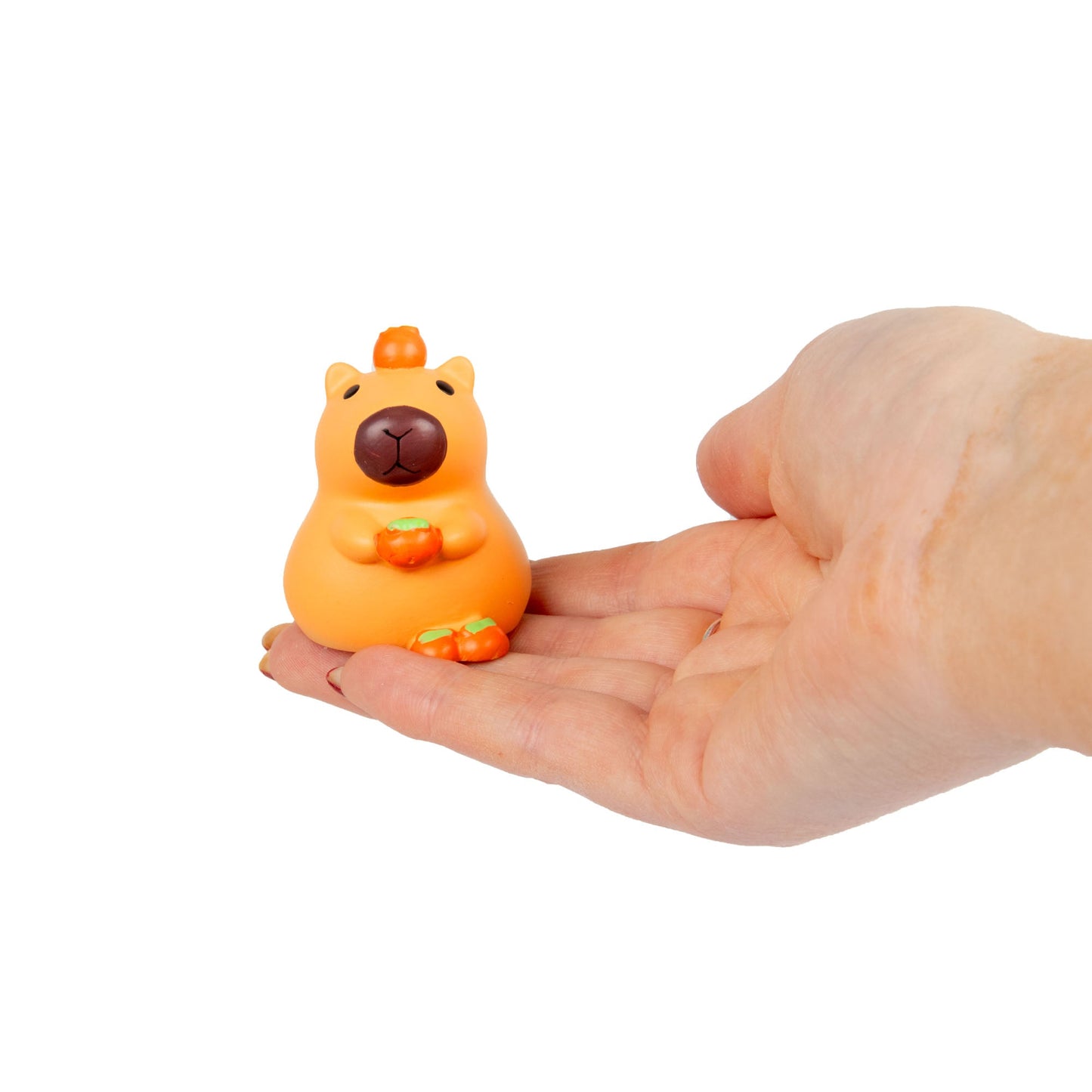 BLIND BOX CAPYBARA