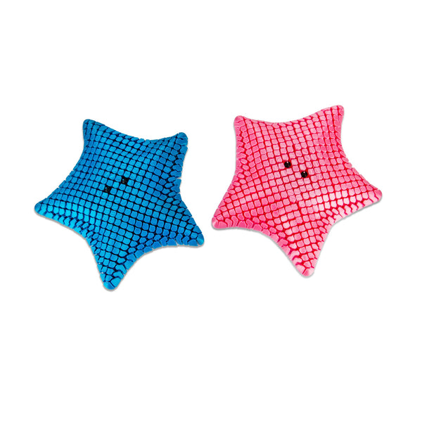3D PRINTED STARFISH