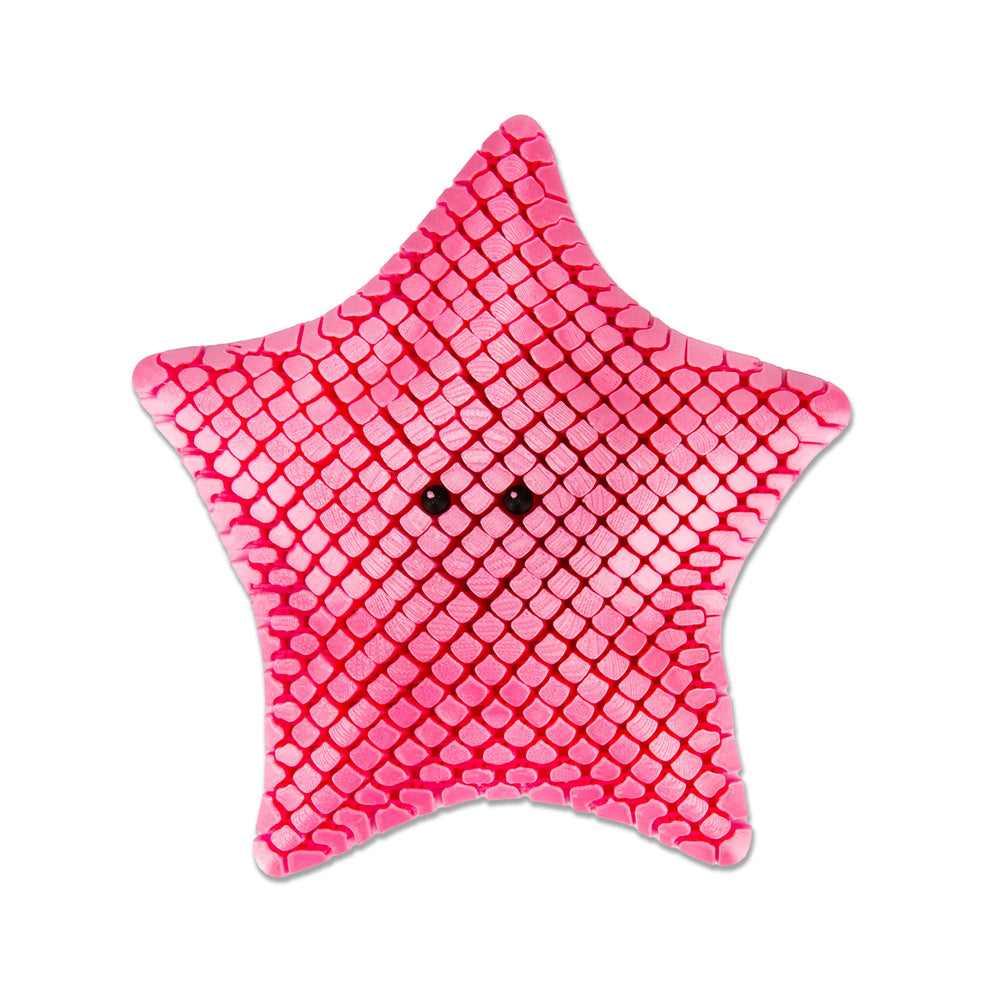 Étoile de Mer Articulée Imprimée en 3D