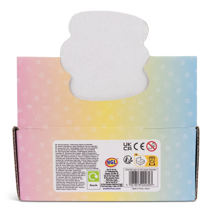 LIGHT UP PET CARRIER KEYCHAIN