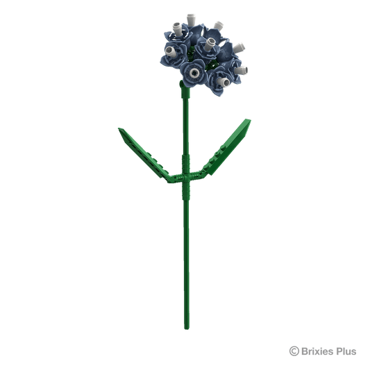 BRIXIES Plus Flowers Sea Lavender