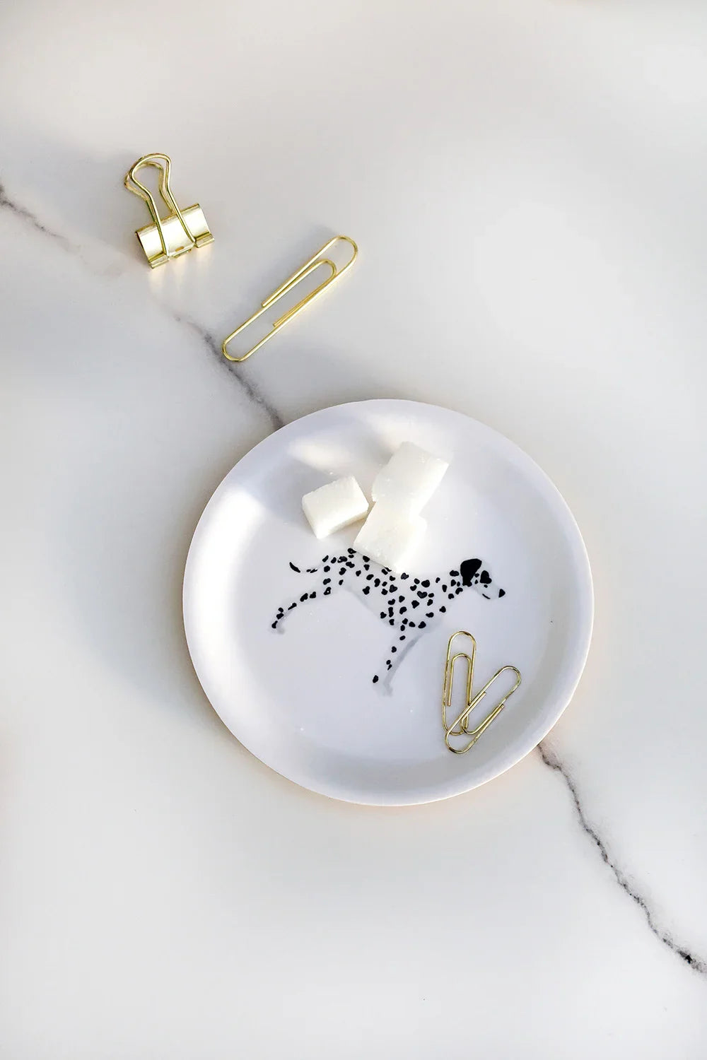 Dalmatian Coaster