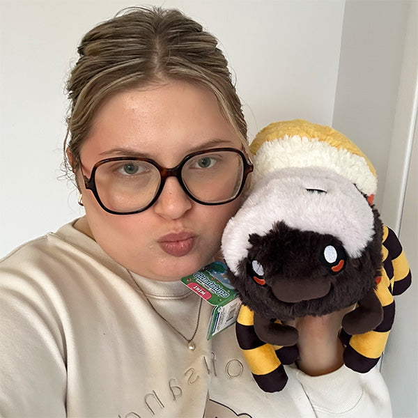 Peluche Mini Squishable – Orb Weaver Araignée