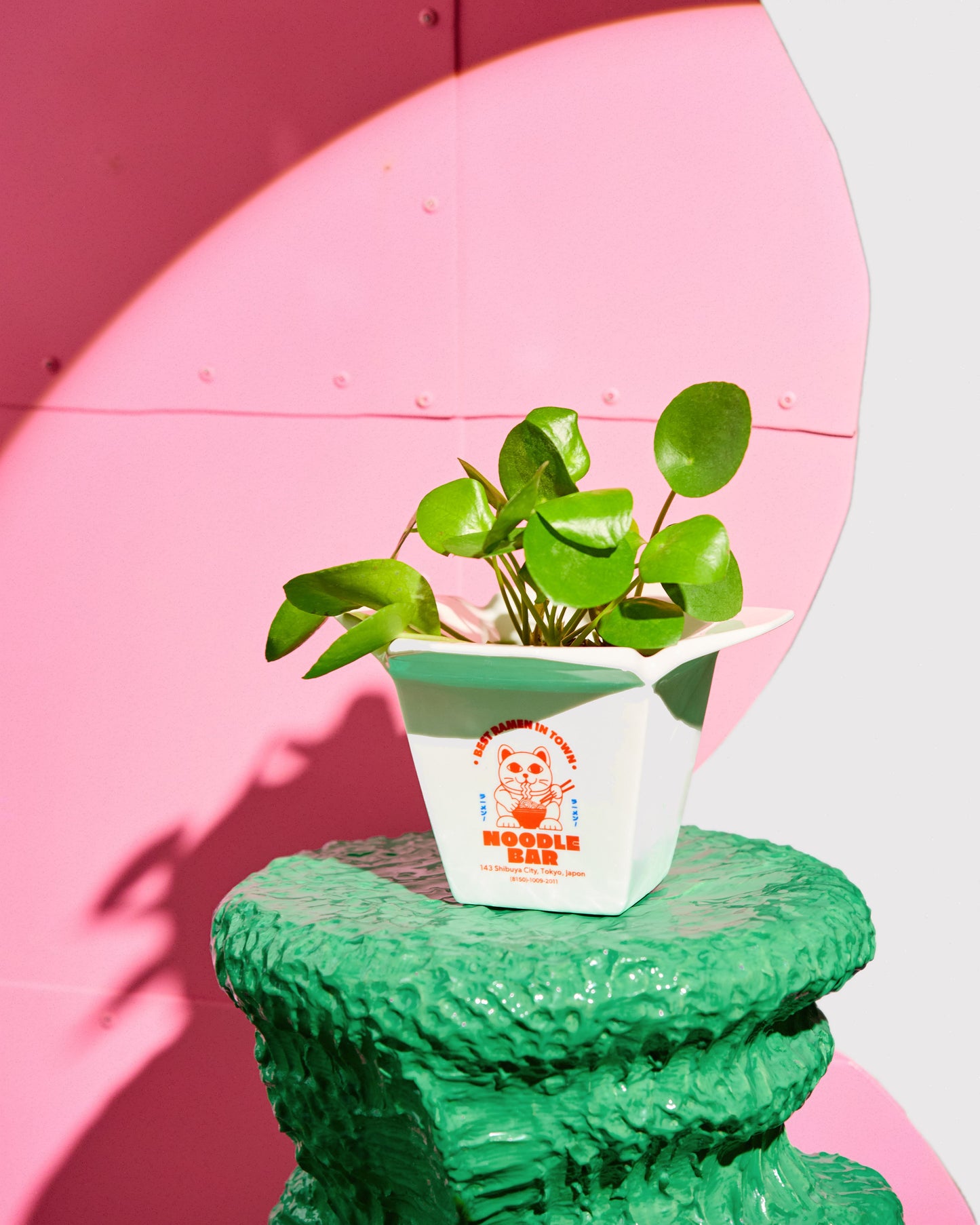 Cache pot / Vase Ramen