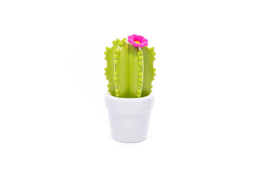 Veilleuse Cactus Fleur
