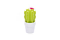 Flower Cactus Night Light