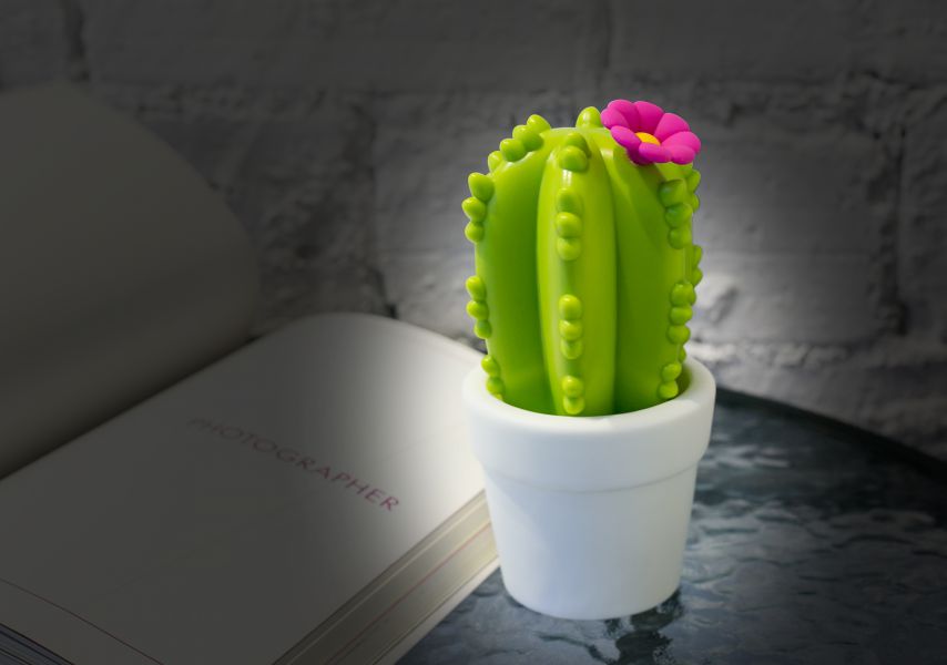 Flower Cactus Night Light