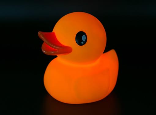 Pato rosa