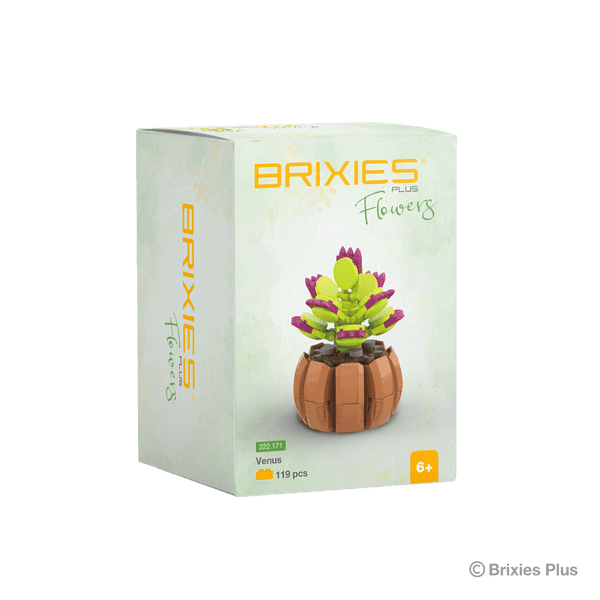 BRIXIES Plus Mini Blume "Venus"
