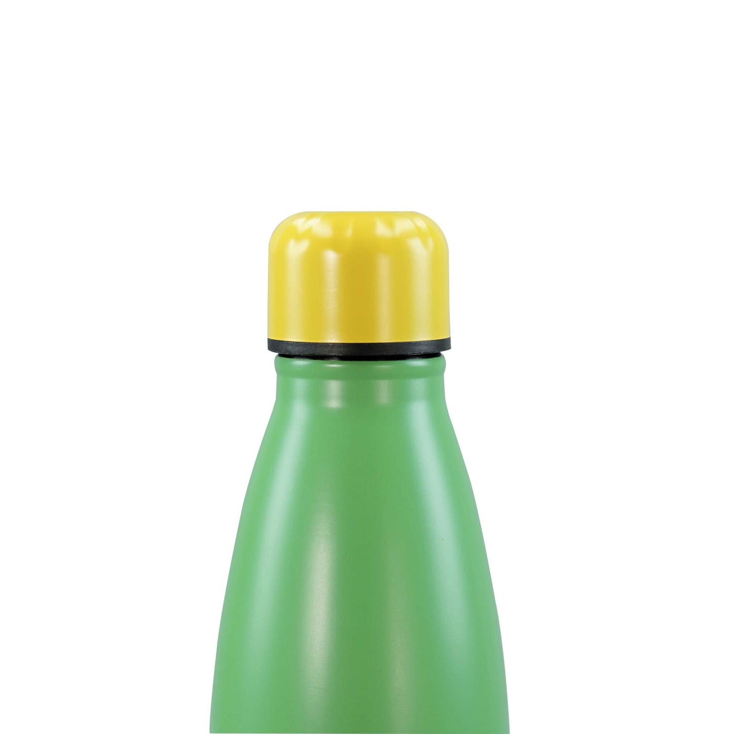The Beatles Abbey Road Metal Water Bottle – 500 ml