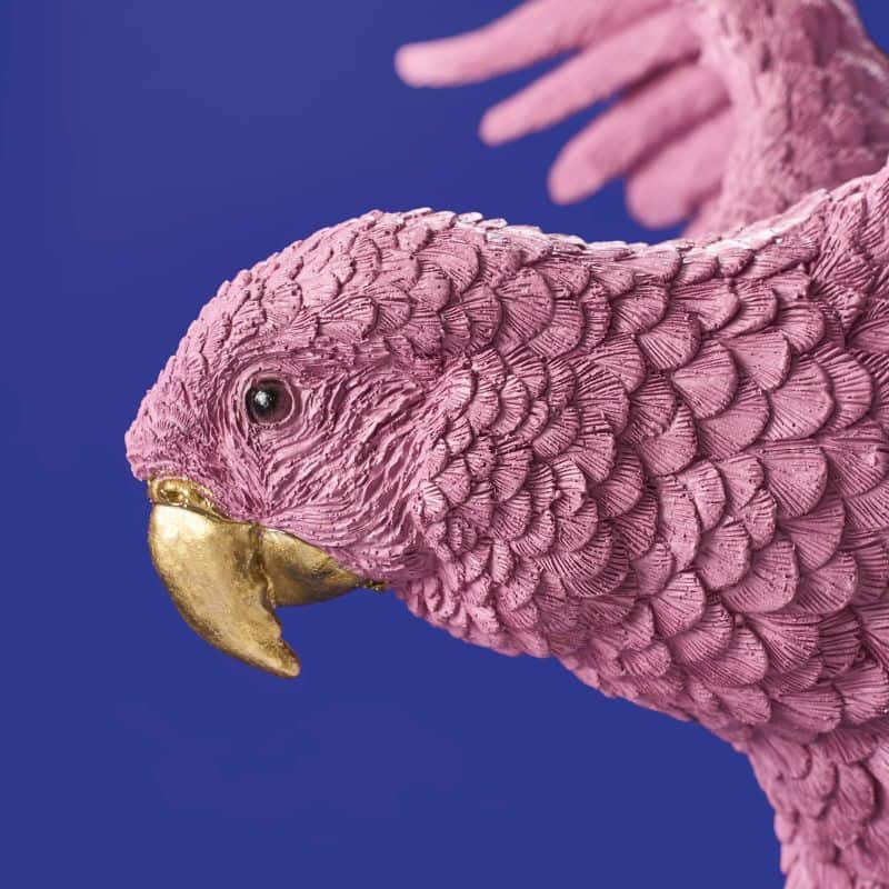 Lámpara de techo Pink Parrot