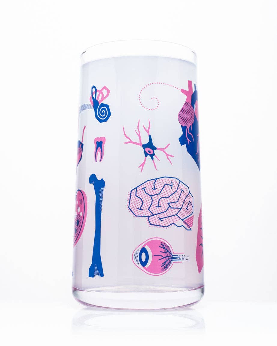 Verre Anatomie Rétro