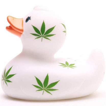 Hoja de cáñamo de pato